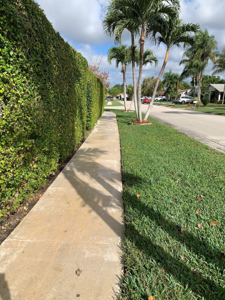 Skilled technician pressure washing stained pavers with precise equipment and controlled spray pattern