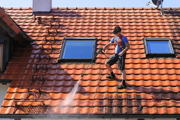 Technician assessing roof staining patterns and applying targeted treatment with professional care