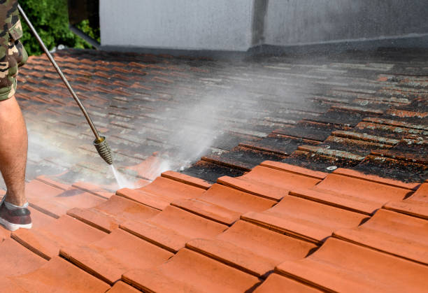 Roof cleaning specialist inspecting buildup and treating stained sections with care